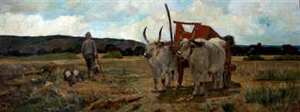 Territorio e produzione agr...